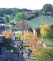 Inver Hills Community College